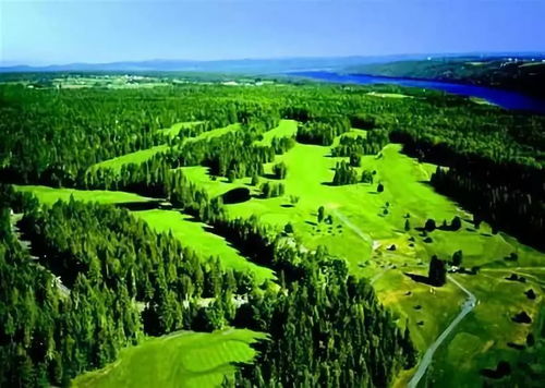 林業和草原應對氣候變化取得新成效的商業啟示