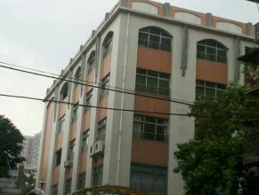 荔灣區(qū)廣州食品企業(yè)集團第一幼兒園及周邊實景照片 歷史圖片 廣州城市房產(chǎn)